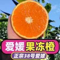 2024正宗四川愛媛38號(hào)果凍橙手剝橙新鮮水果柑橘桔子甜橙整箱包郵